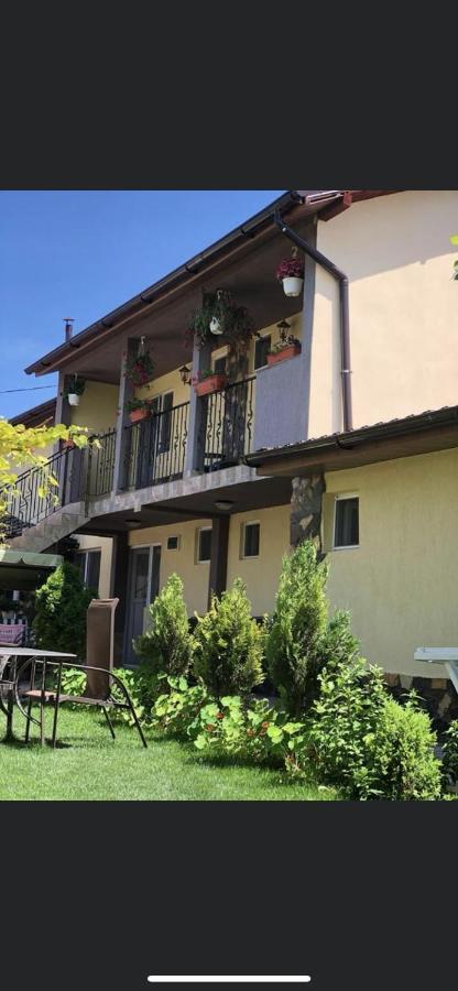 Vila Vlad Două Mai Buitenkant foto